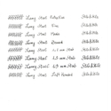 Lamy Safari Penna Stilografica Umbra