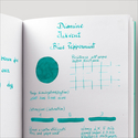 Diamine Inkvent Blue Peppermint Inchiostro 50 ml Blue Edition Shimmer