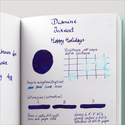 Diamine Inkvent Happy Holidays Inchiostro 50 ml Blue Edition Shimmer & Sheen