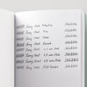 Lamy Studio Penna Stilografica Glacier Edizione Speciale 2020