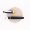 Sailor Professional Gear King of Pen 2021-21K Fountain Pen Limited Edition